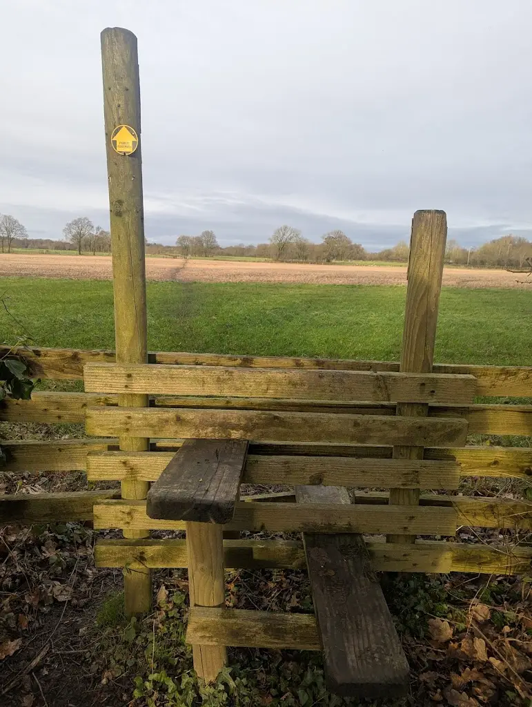 Carolyn Elizabeth Carney_Euxton Mills_Euxton_review