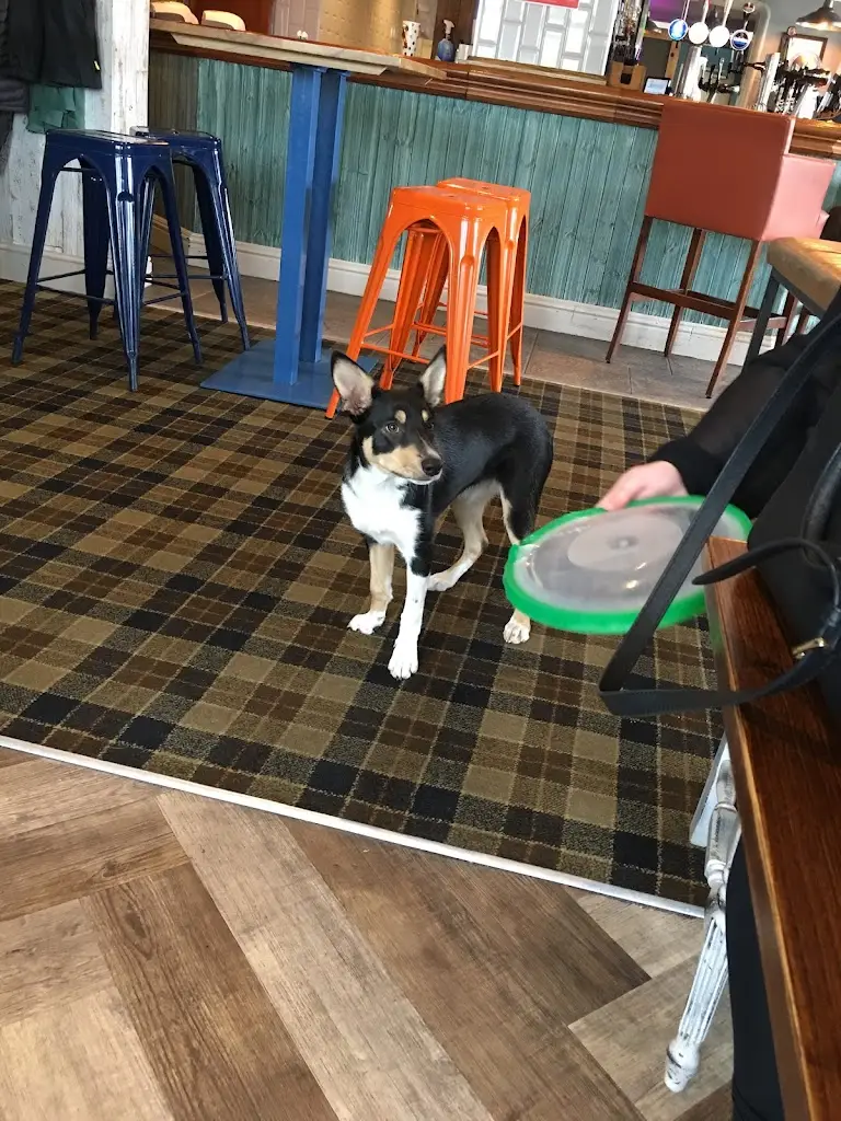 Christopher Gaul_The Talbot_Euxton_review