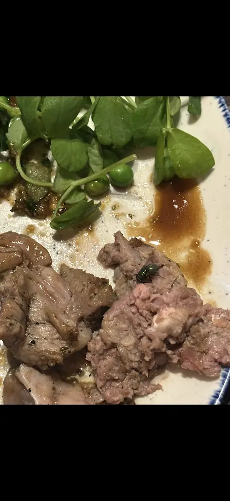 J_Fields at Aylesford_Aylesford_review