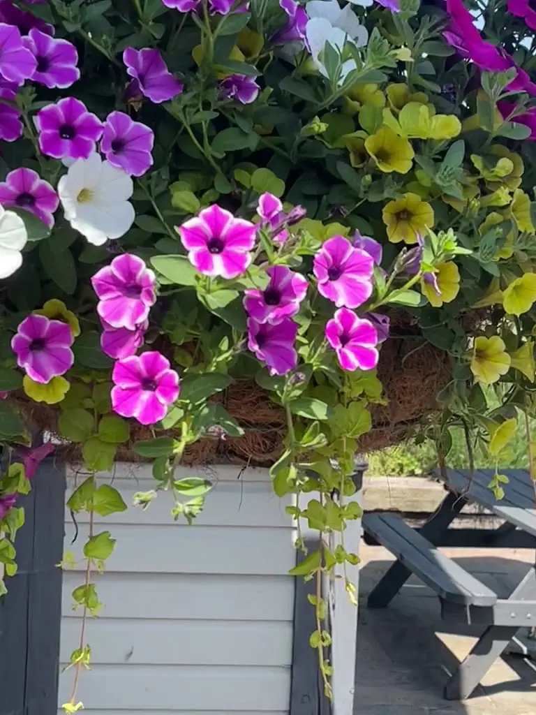 Chris Ripley_Seven Wells_Etwall_review