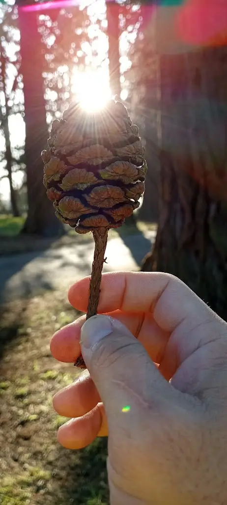 Menu_World Peace Café_Etwall_image_2