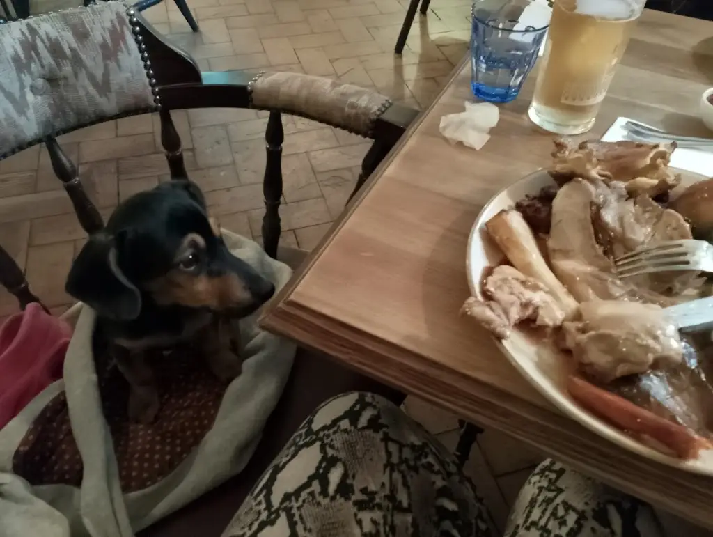 Lu Breeden_The Lamb Inn_Axbridge_review