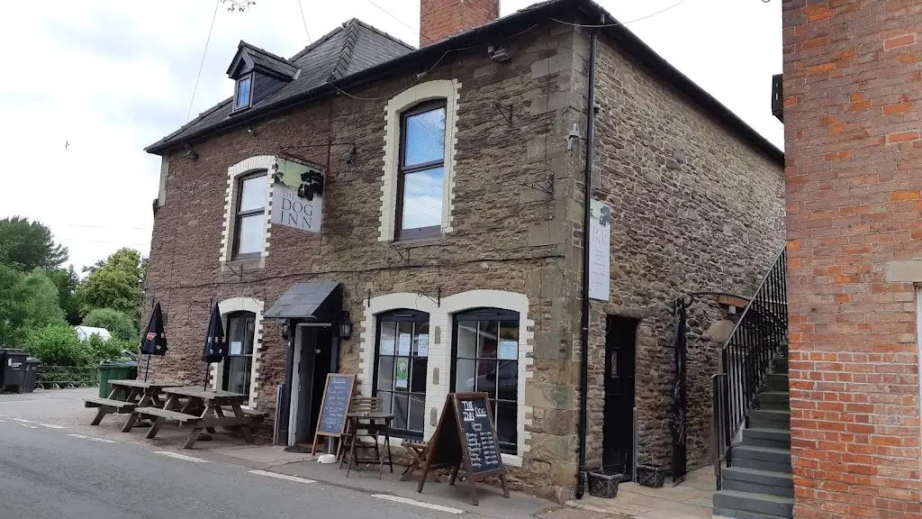 The Dog_Ewyas Harold_slider_image_2