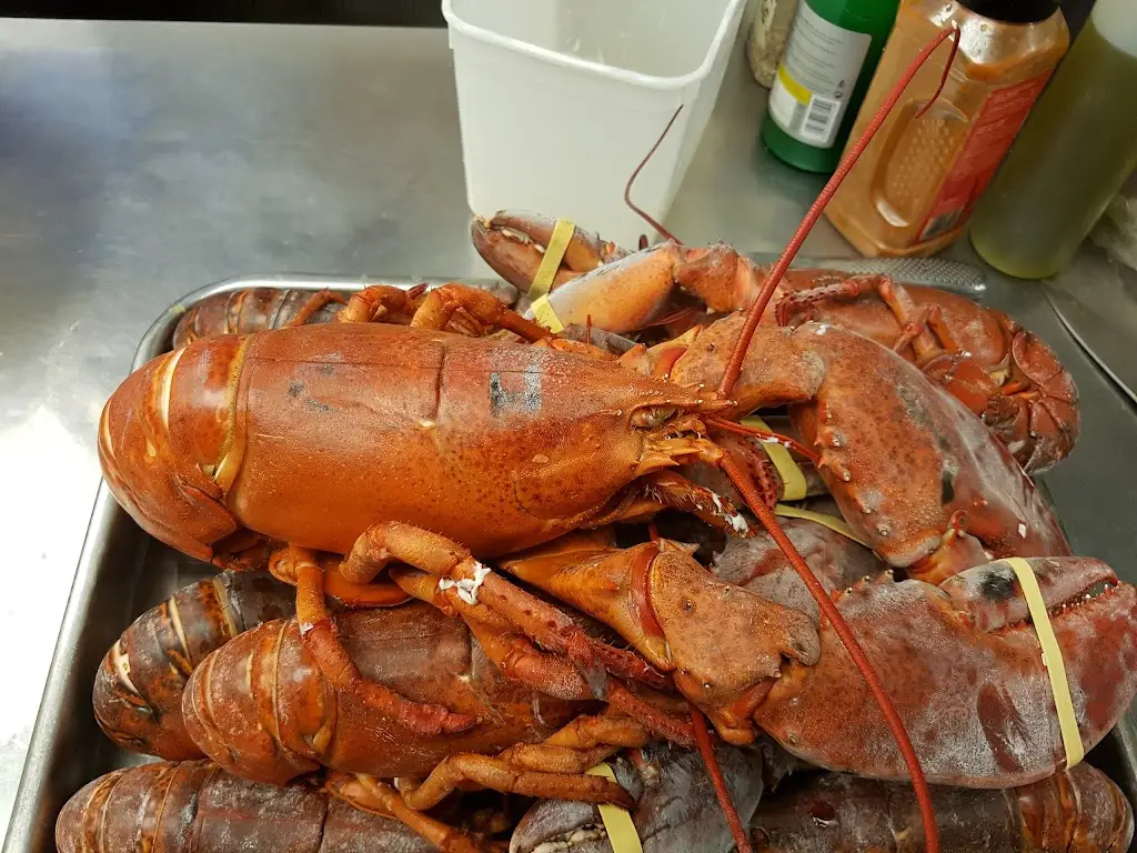 Il Capriccio Ristorante_Ewell_slider_image_3