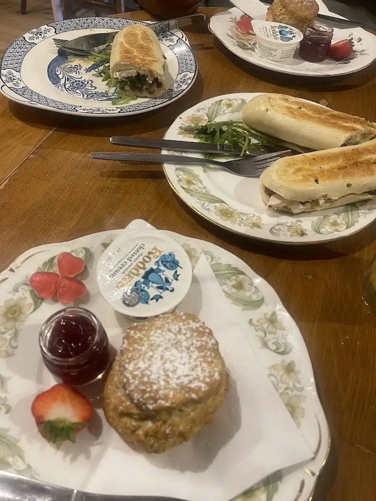 sach walker_All Things Nice_Ewell_review