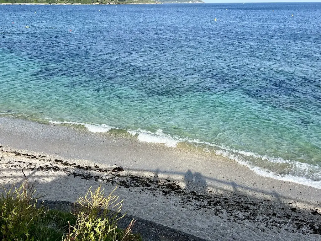 Sue Smith OBE_Gylly Beach Cafe_Falmouth_review