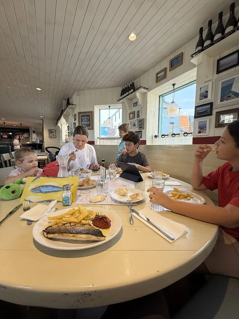 Mubin Demirci_Rockfish_Exmouth_reseña