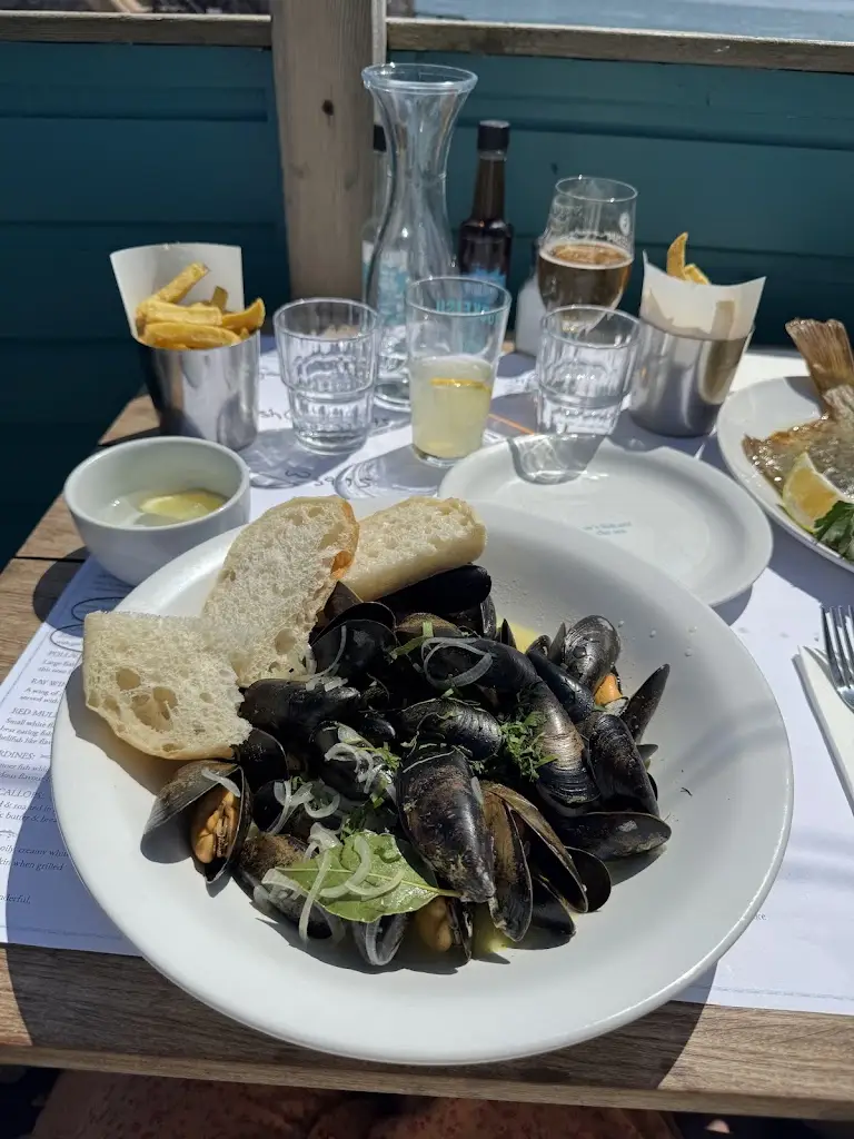 Jess D_Rockfish_Exmouth_reseña