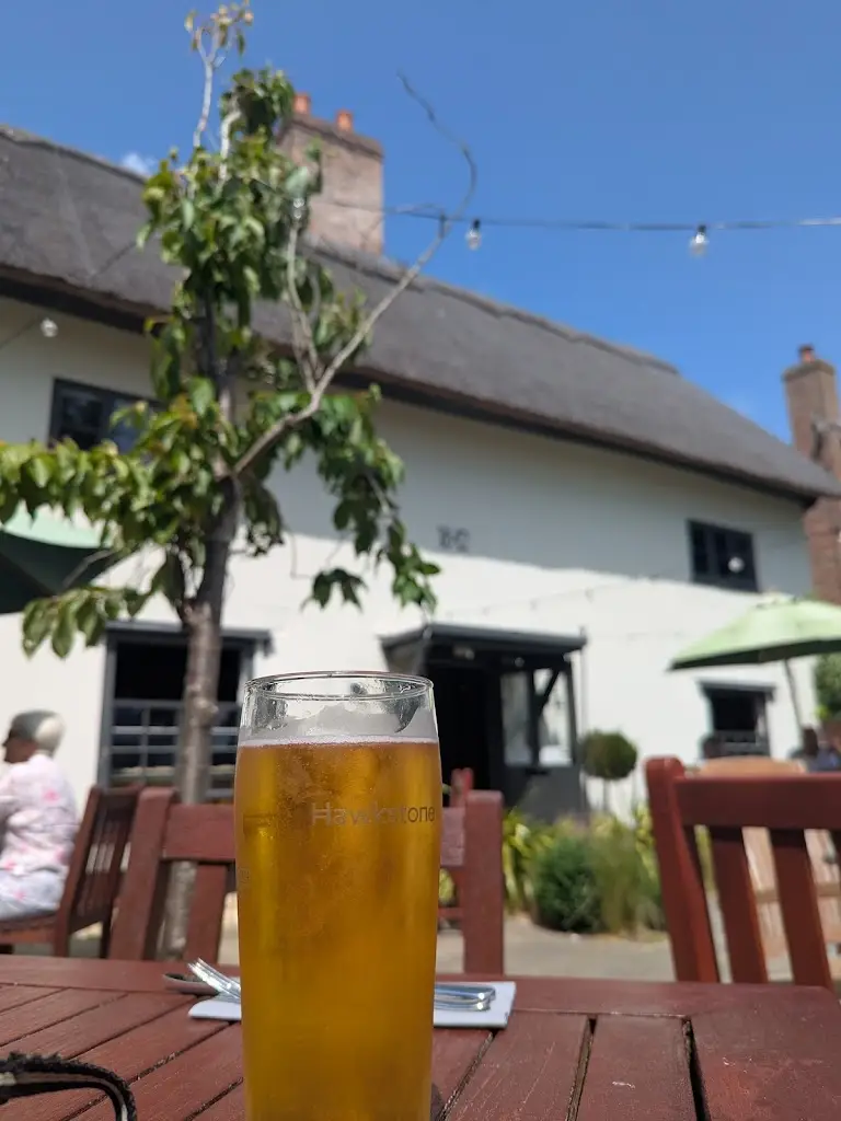 Thomas Brown_The Three Blackbirds_Exning_review