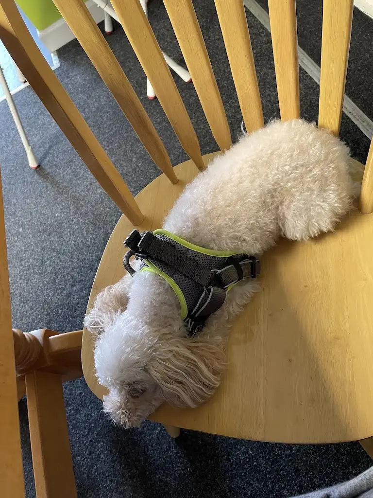 Louise Hawksworth_MEG'S PLACE_Fakenham_review