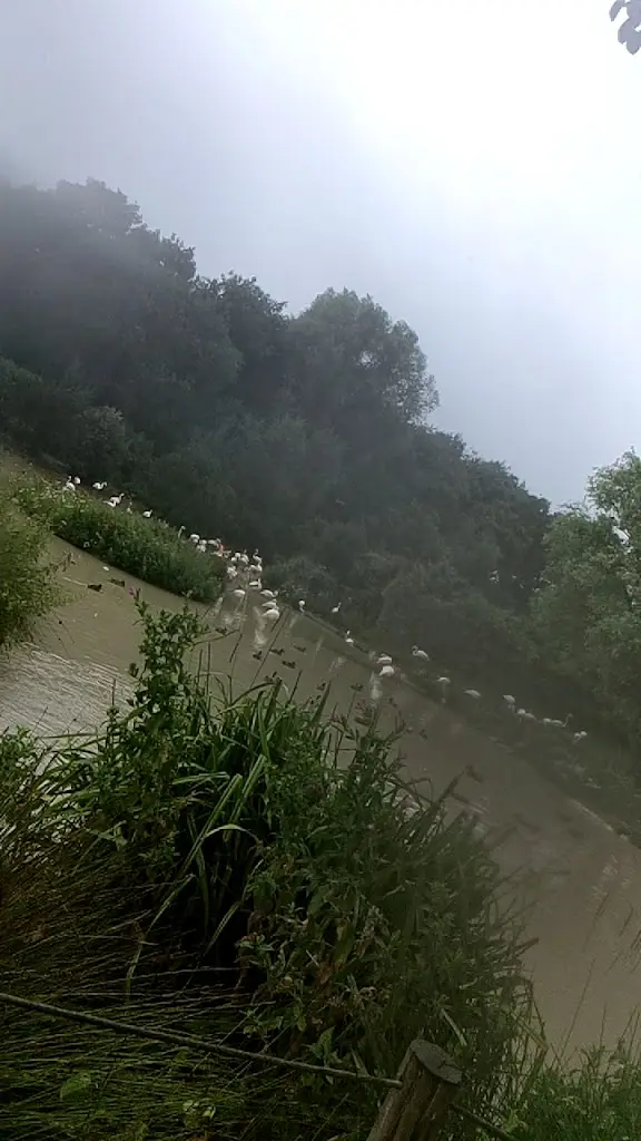 Charlotte Widdowson_Courtyard Cafe_Fakenham_review