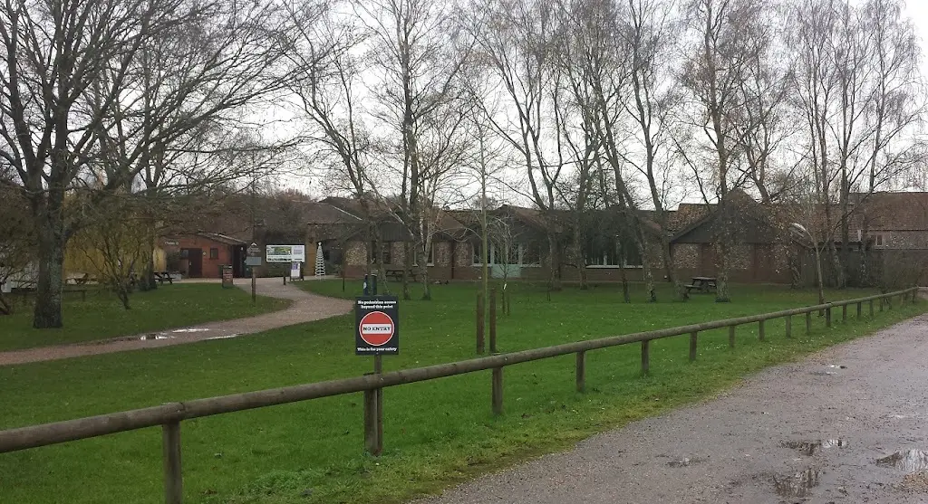 Lorna Wilson_Courtyard Cafe_Fakenham_review