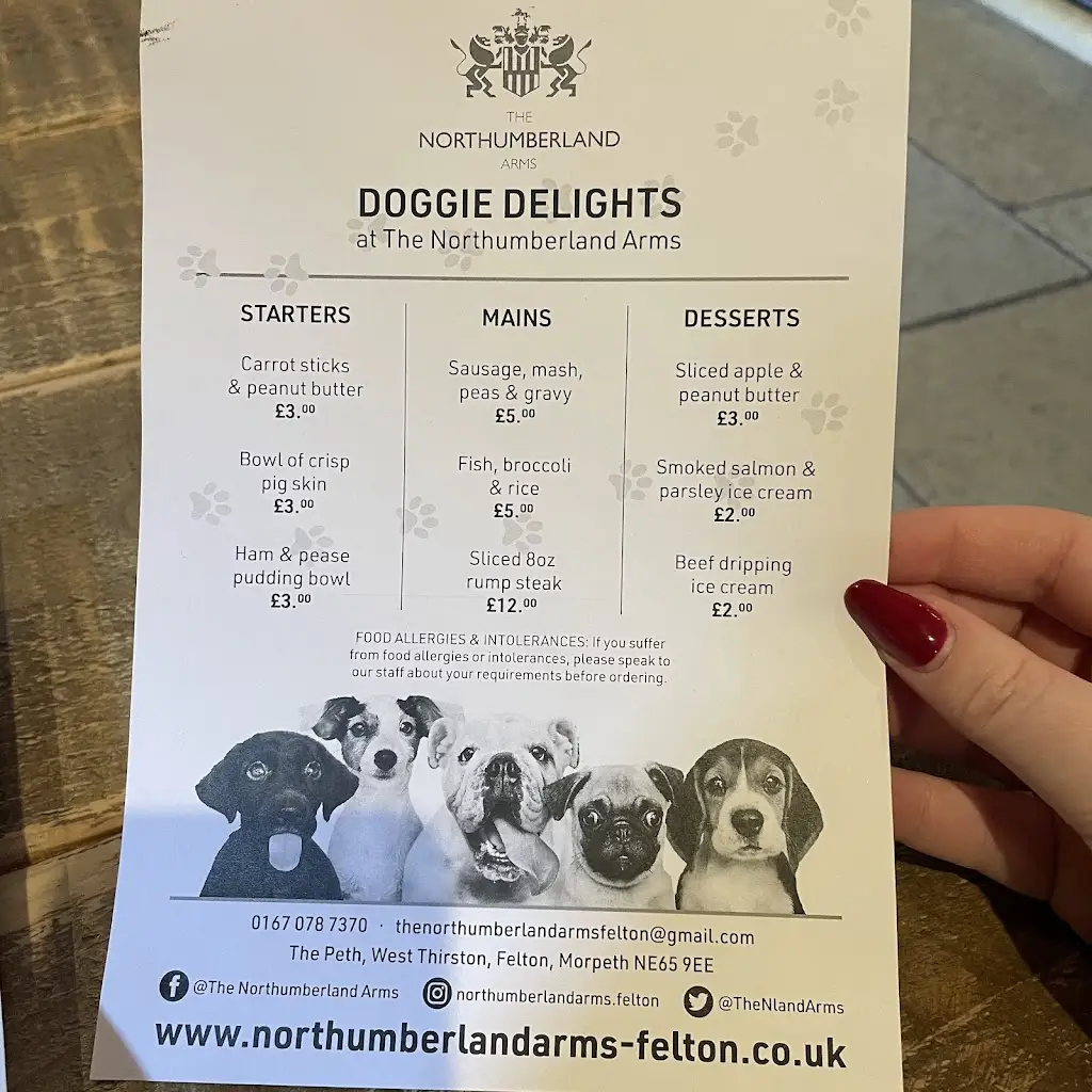 Menu_The Northumberland Arms_Felton_immagine_2