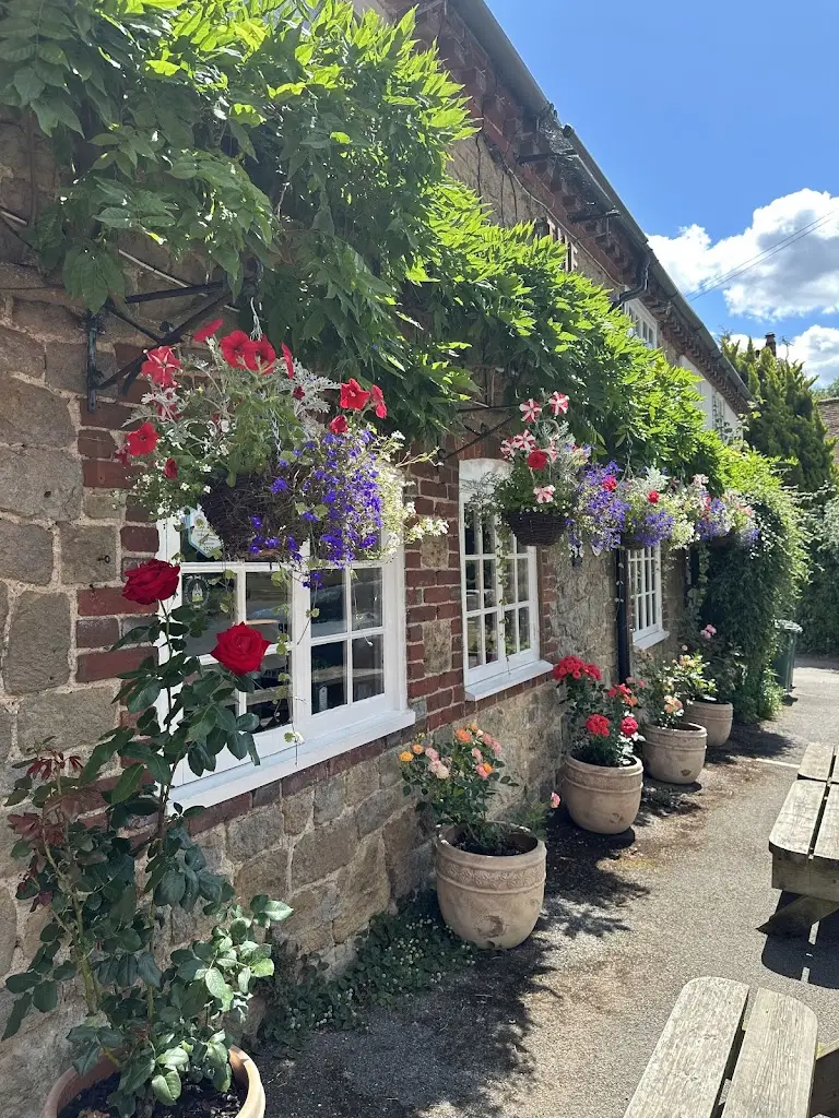 annie soba_The Red Lion, Fernhurst_Fernhurst_review