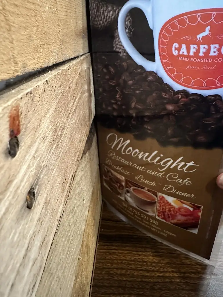 mysterious d_Moonlight Cafe Breakfast Restaurant_Faversham_review