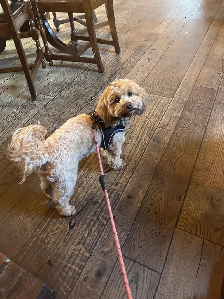 LoveCanals_The White Hart_Fernhill Heath_recensione