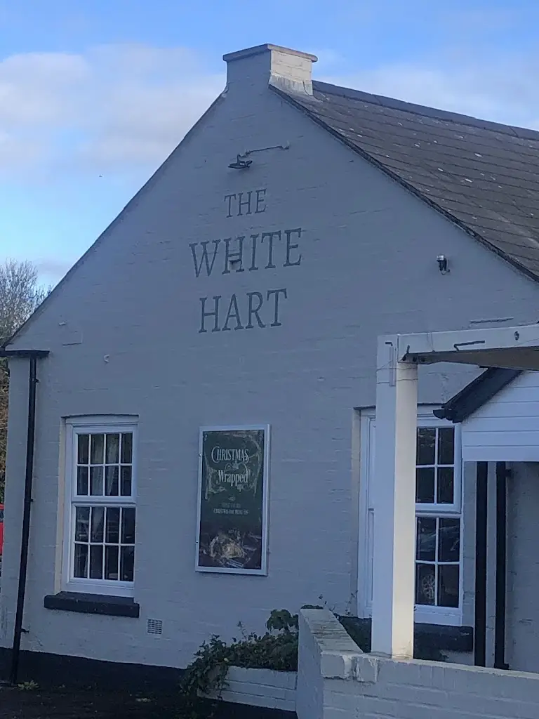 Damian aka Evo._The White Hart_Fernhill Heath_recensione