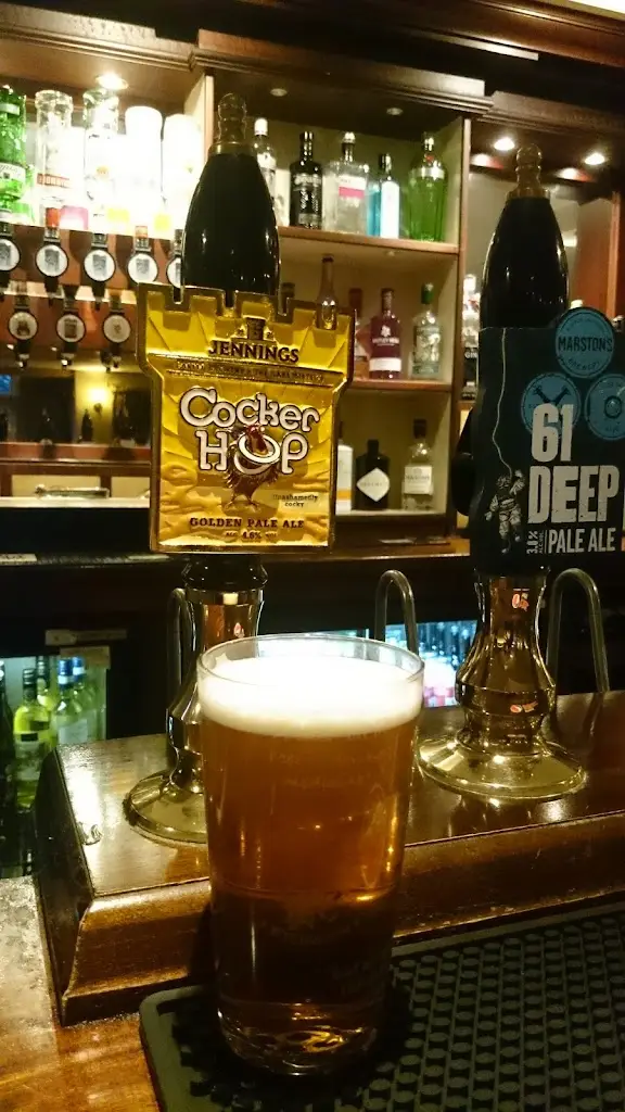 Menu_The Swan at Martin Hussingtree_Fernhill Heath_image_5