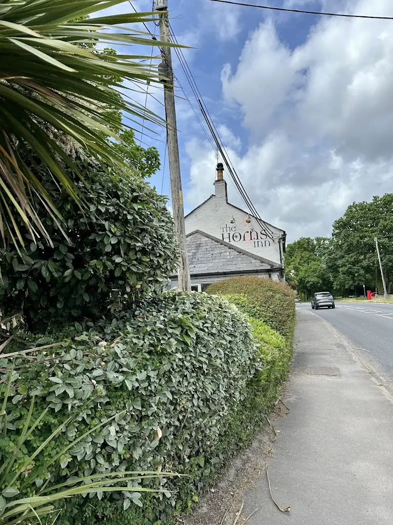 Krasimira Valkanova_The Horns Inn_Ferndown_review