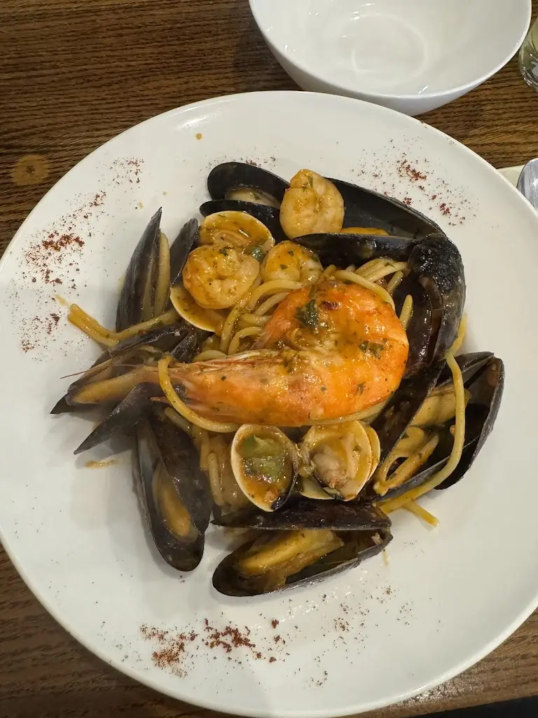 Patricia Fonseca_Abrigo dos Amigos_Feltham_review