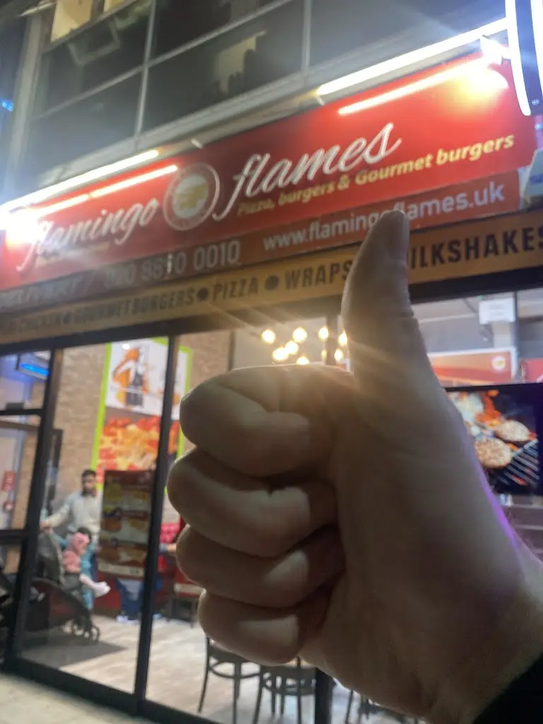 Scott Brown_Flamingo Flames _Feltham_review