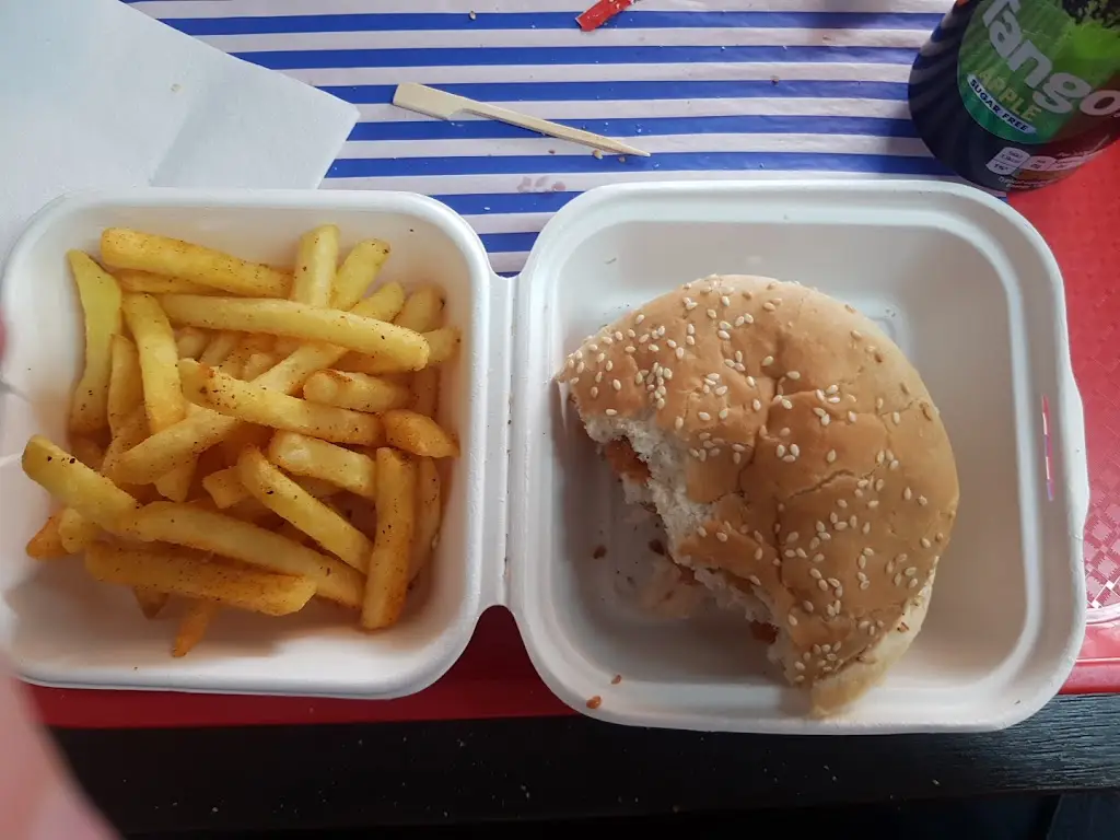 Tristan Taylor_Flamingo Flames _Feltham_review