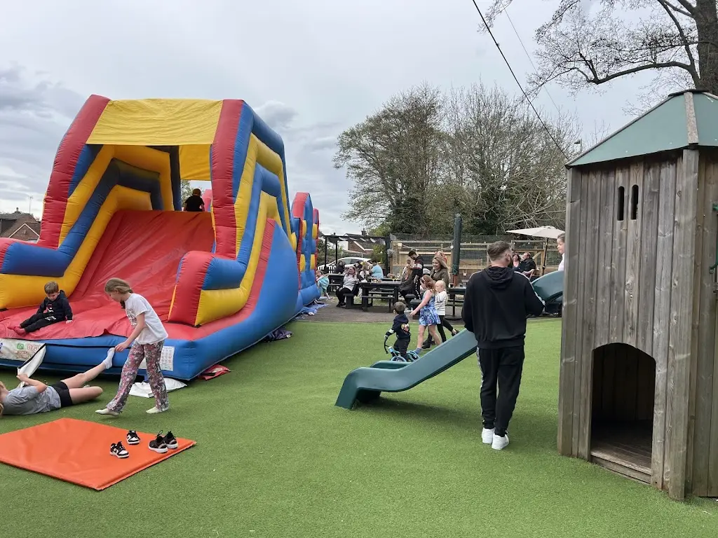 Clea Romeo_The Snow Goose_Farnborough_review