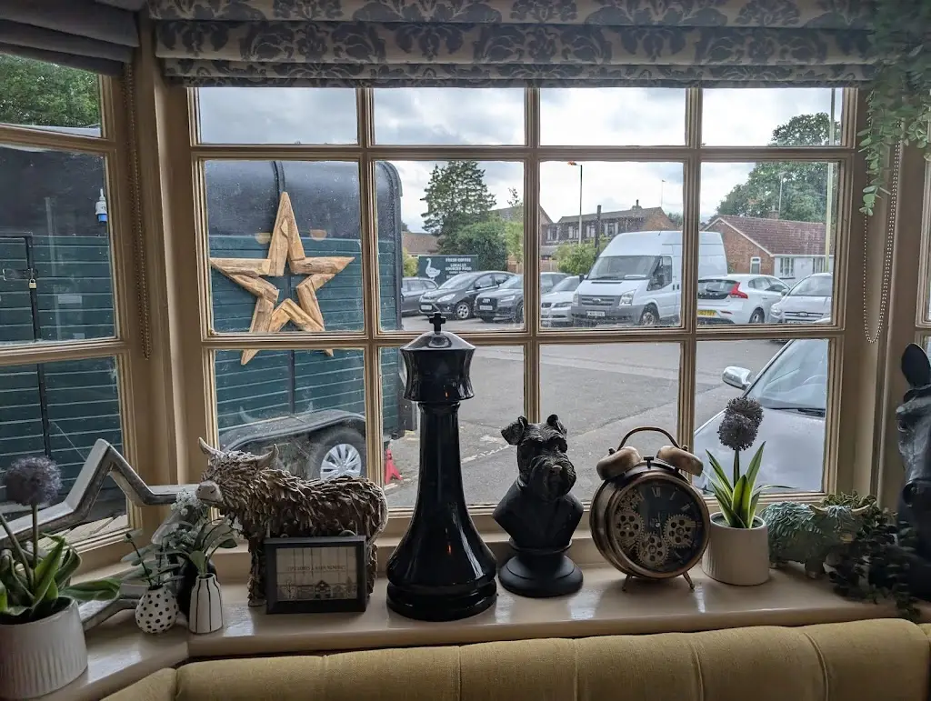 peter white_The Snow Goose_Farnborough_review