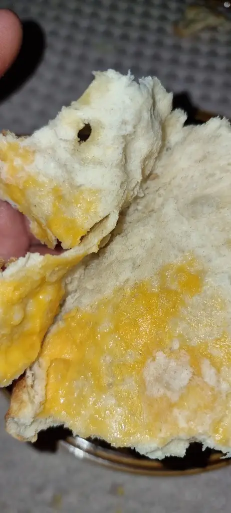 Lewis williams_Alhambra Curry House_Fishburn_review