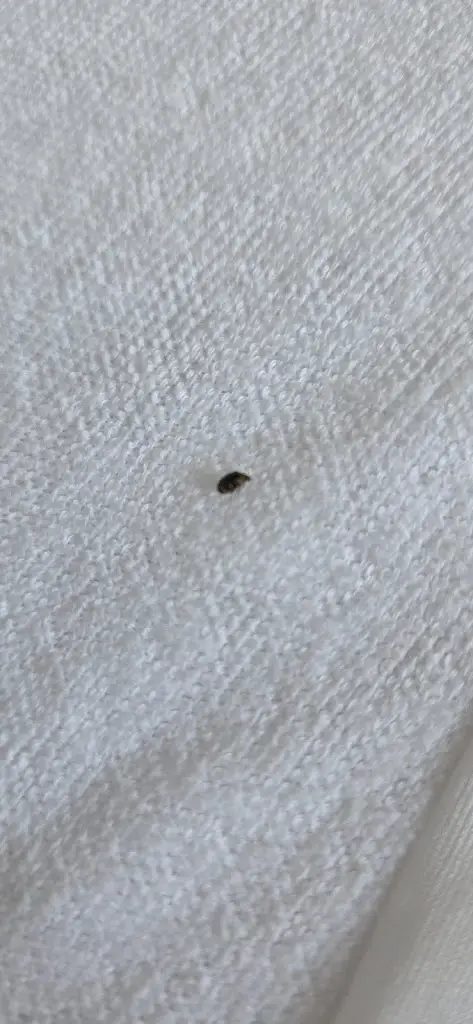 Martyn K-A_The Golden Lion Hotel_Flimby_recensione