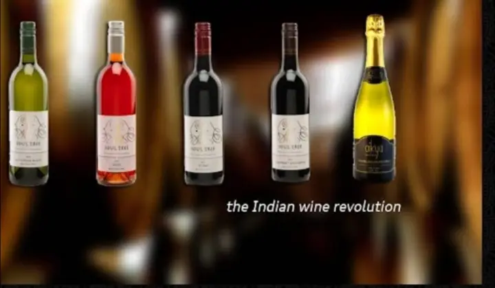 Menu_Olive Naturally Indian Flitwick Branch_Flitwick_image_3