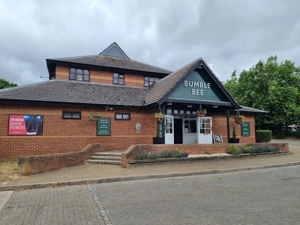 Chris Robinson_Bumble Bee_Flitwick_review