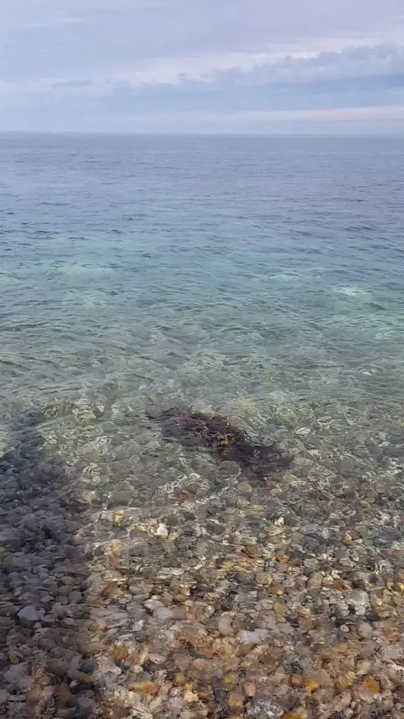 Quiddles Cafe_Fortuneswell_slider_image_2