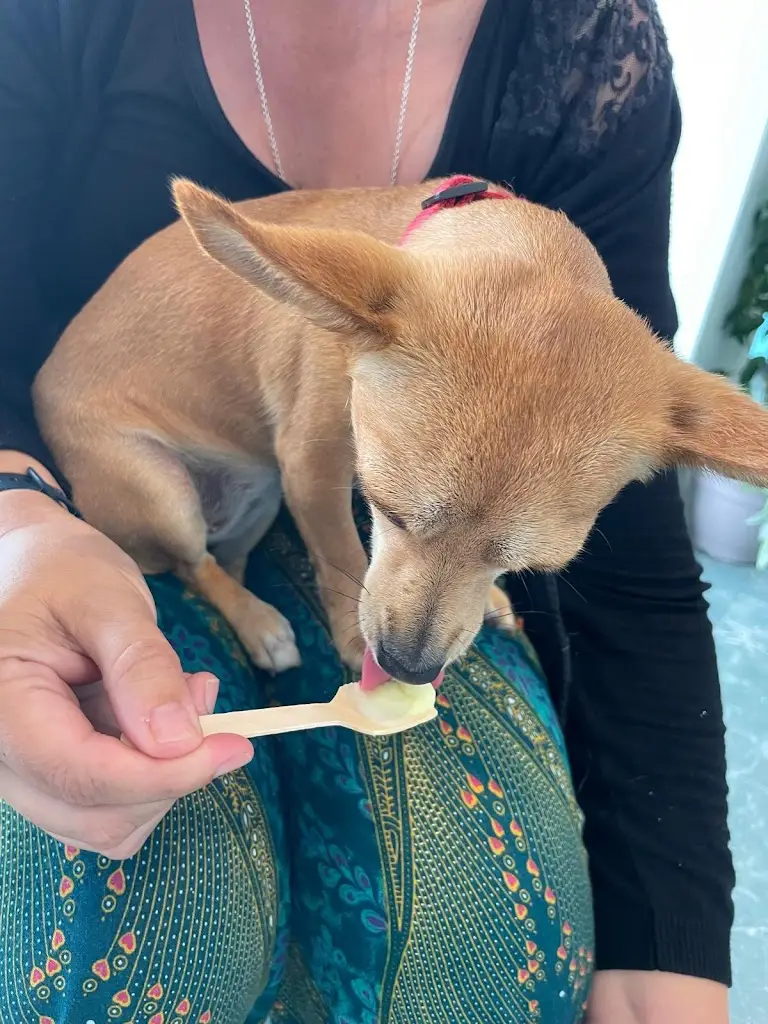 Beth Nicholls_Sweetwater_Felixstowe_review