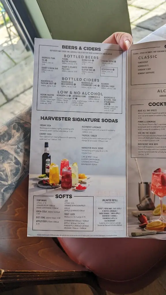 Menu_Aylesbury Harvester_Aylesbury_image_4