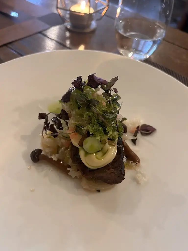 Rhiannon Lowe_The Three Horseshoes_Fordham_review