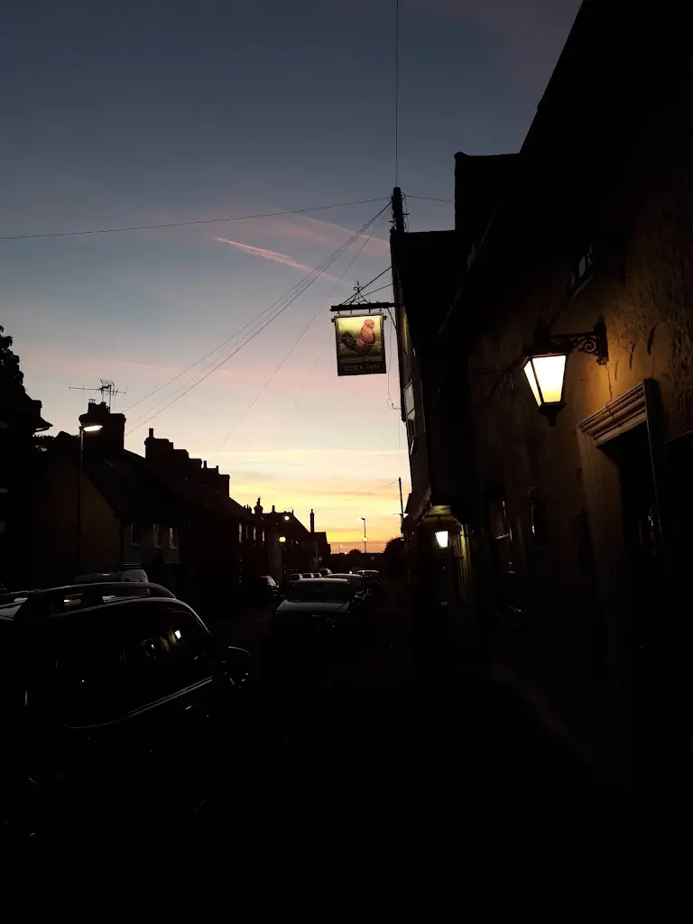 terence ryan_The Cock Inn_Gamlingay_review