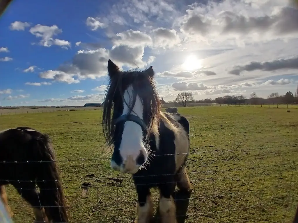 Samantha Kettle_Woodview Farm Shop & Café_Gamlingay_review