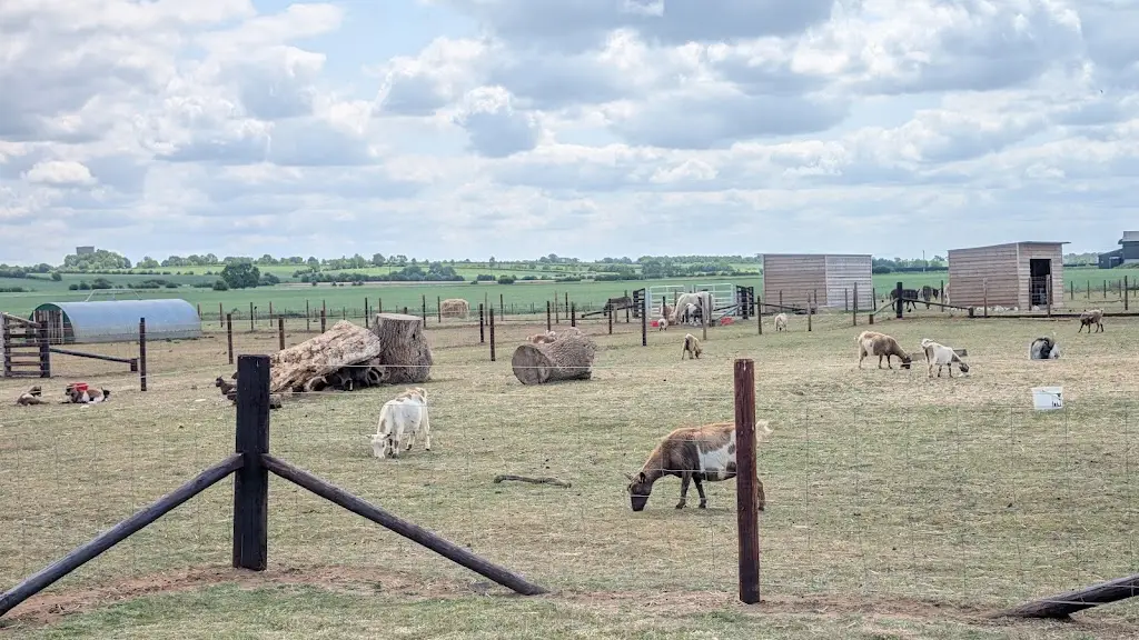 Carol Henson_Woodview Farm Shop & Café_Gamlingay_review