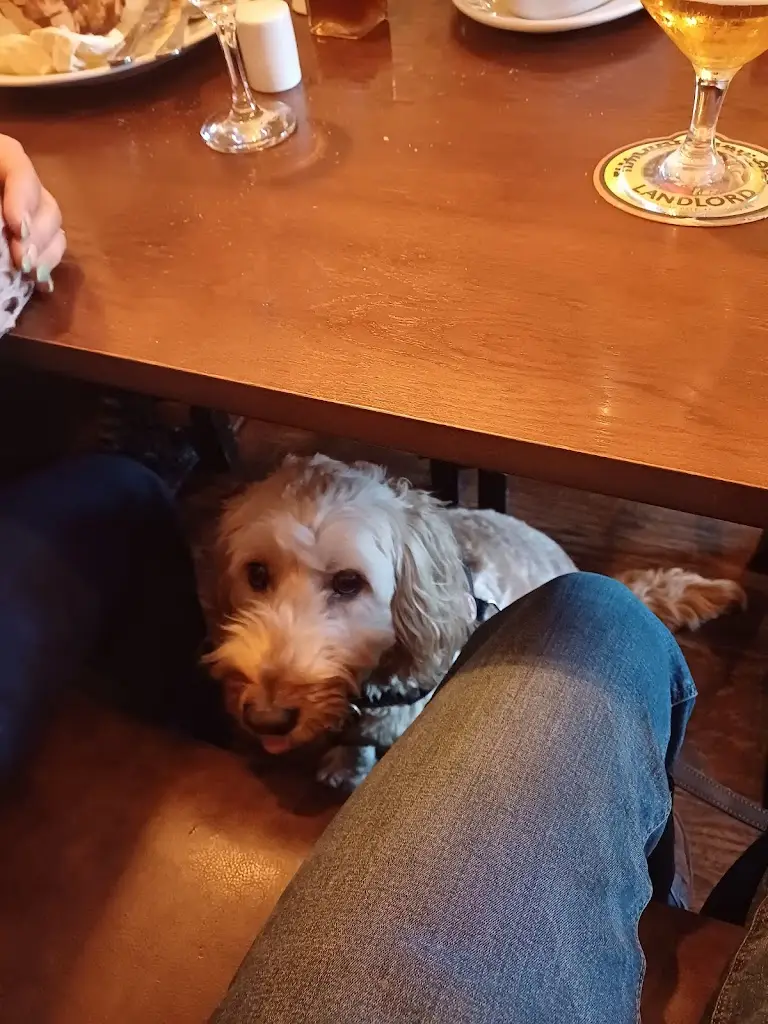 Mark D_Maypole Inn | Pub & Rooms_Gargrave_review