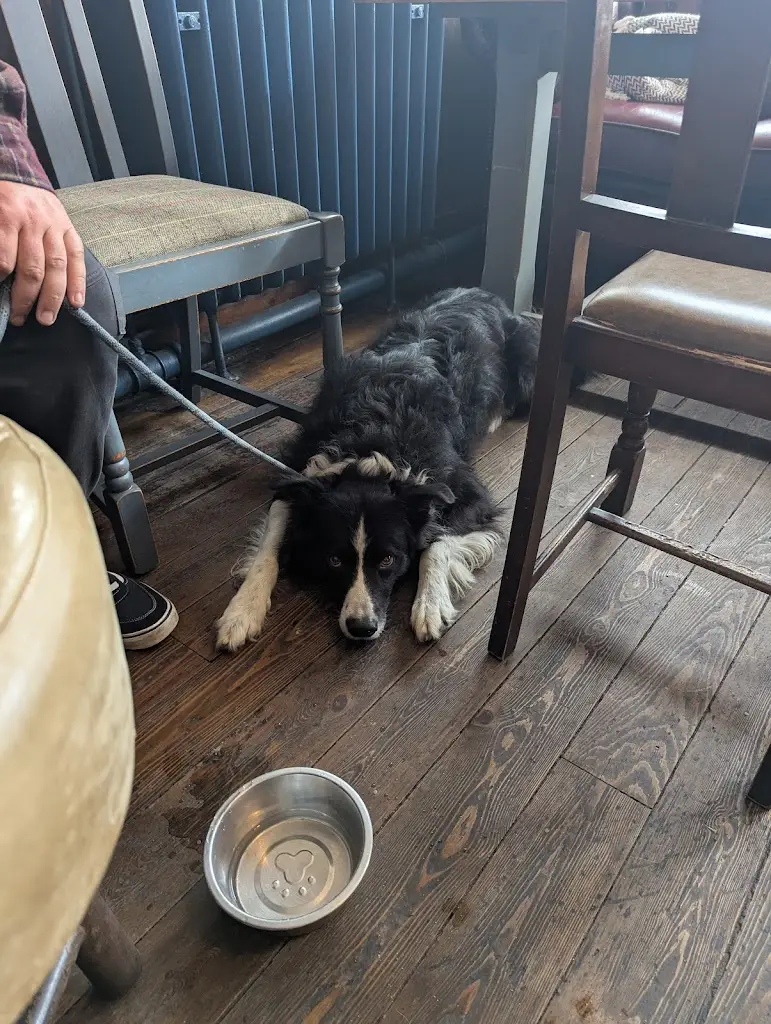 SarahJan30_The Freshfield_Formby_review