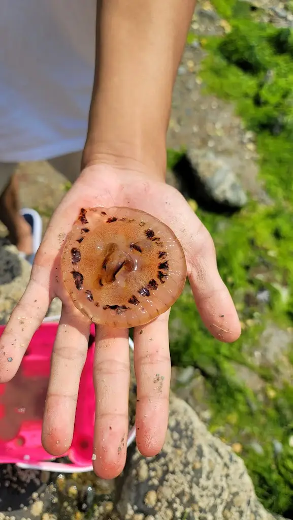 Menu_Readymoney Beach Shop_Fowey_image_5
