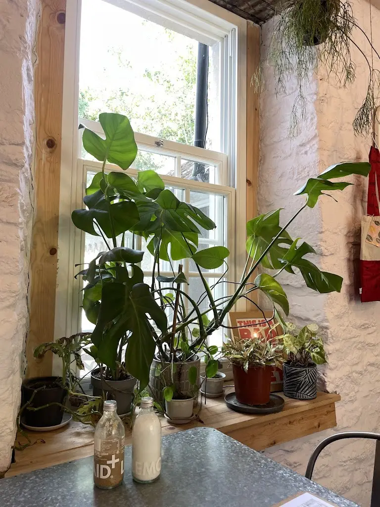 Yvie Grace_Projects Store & Kitchen Frome_Frome_review