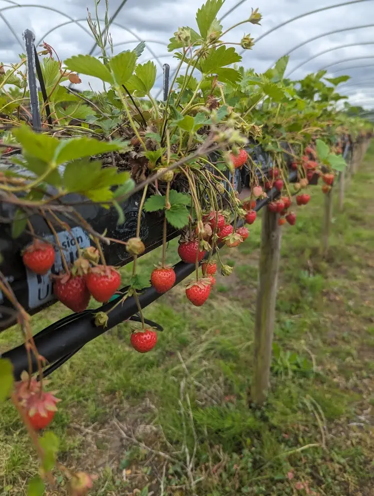 Dovecote Buttery and The Pantry_Geddington_slider_image_3