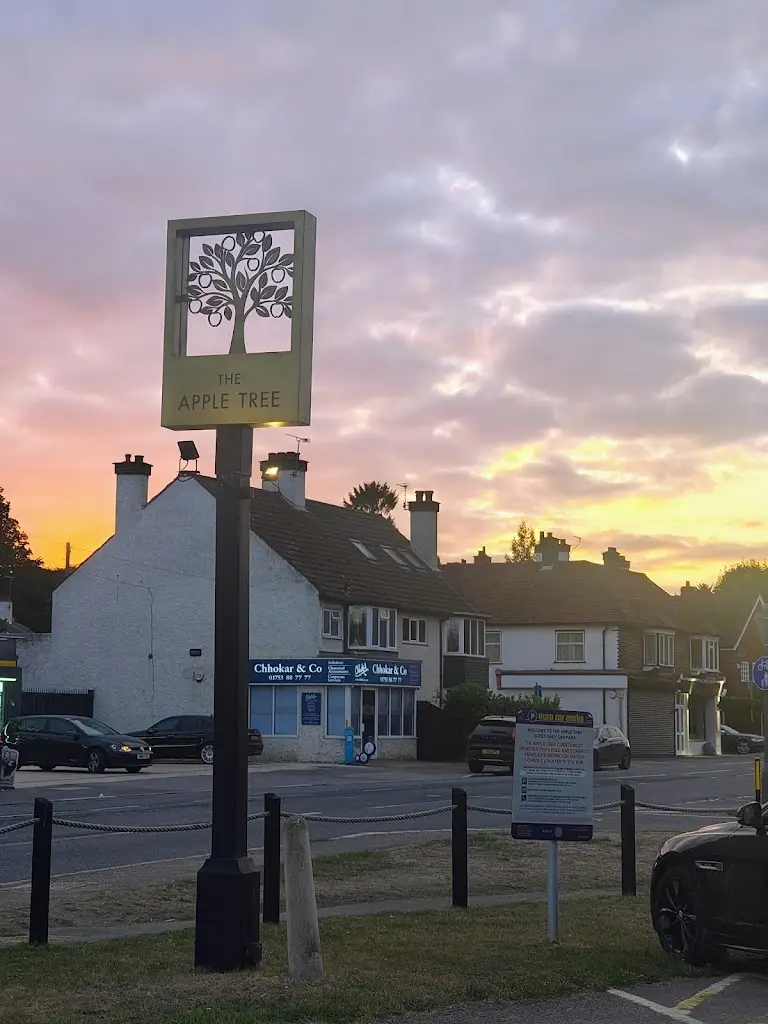 Palash Khandelwal_Apple Tree Gerrards Cross_Gerrards Cross_review