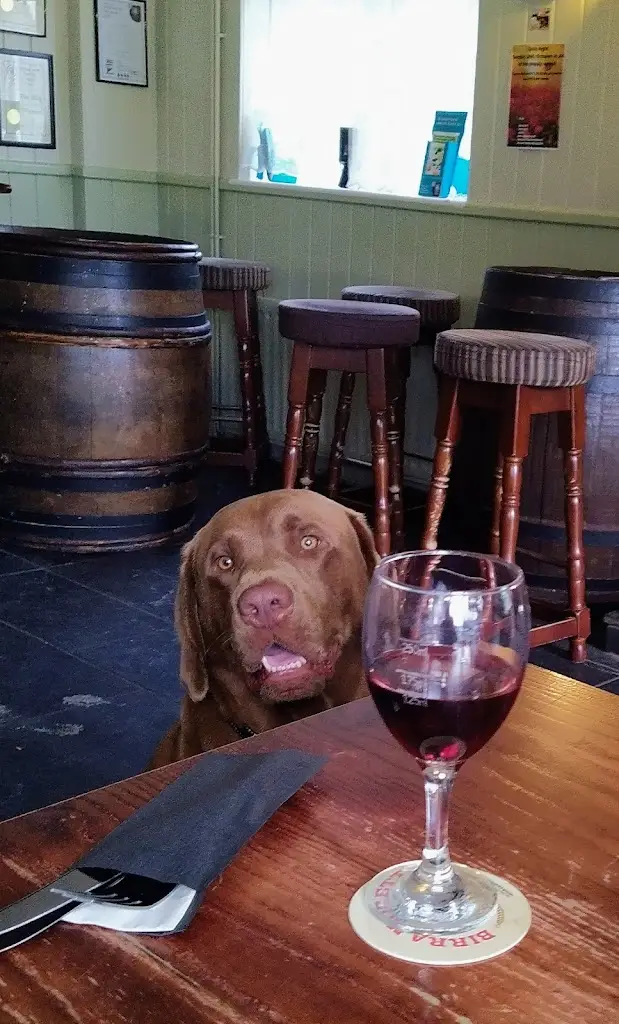 Menu_The Ship_Frinton-on-Sea_image_8