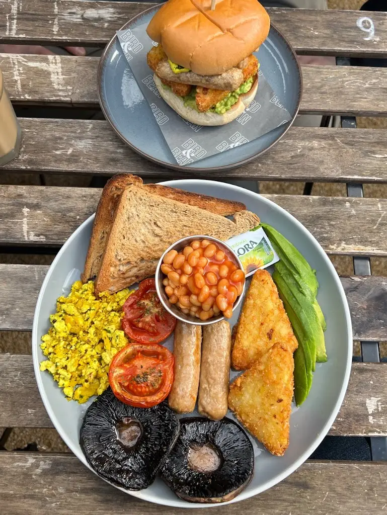 Martha_Bird & Bean_Frinton-on-Sea_review
