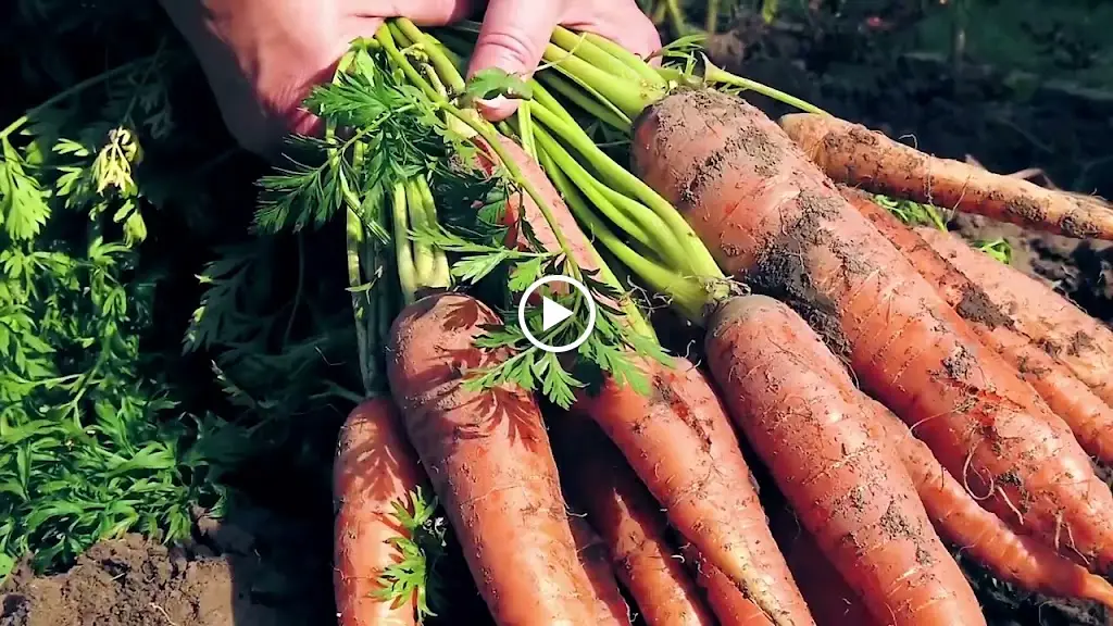 Coal Kitchen Restaurant & Cocktail Bar Gloucester Quays_Gloucester_slider_image_2