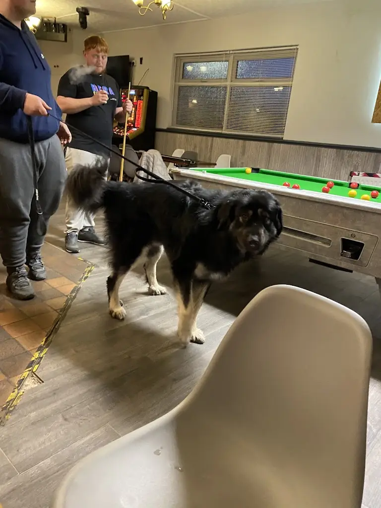 James Reeves_The Little Acorn - KLM Pubco_Awsworth_review