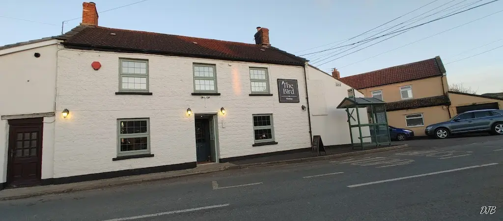 Helen and David Brown_The Bird_Glastonbury_review